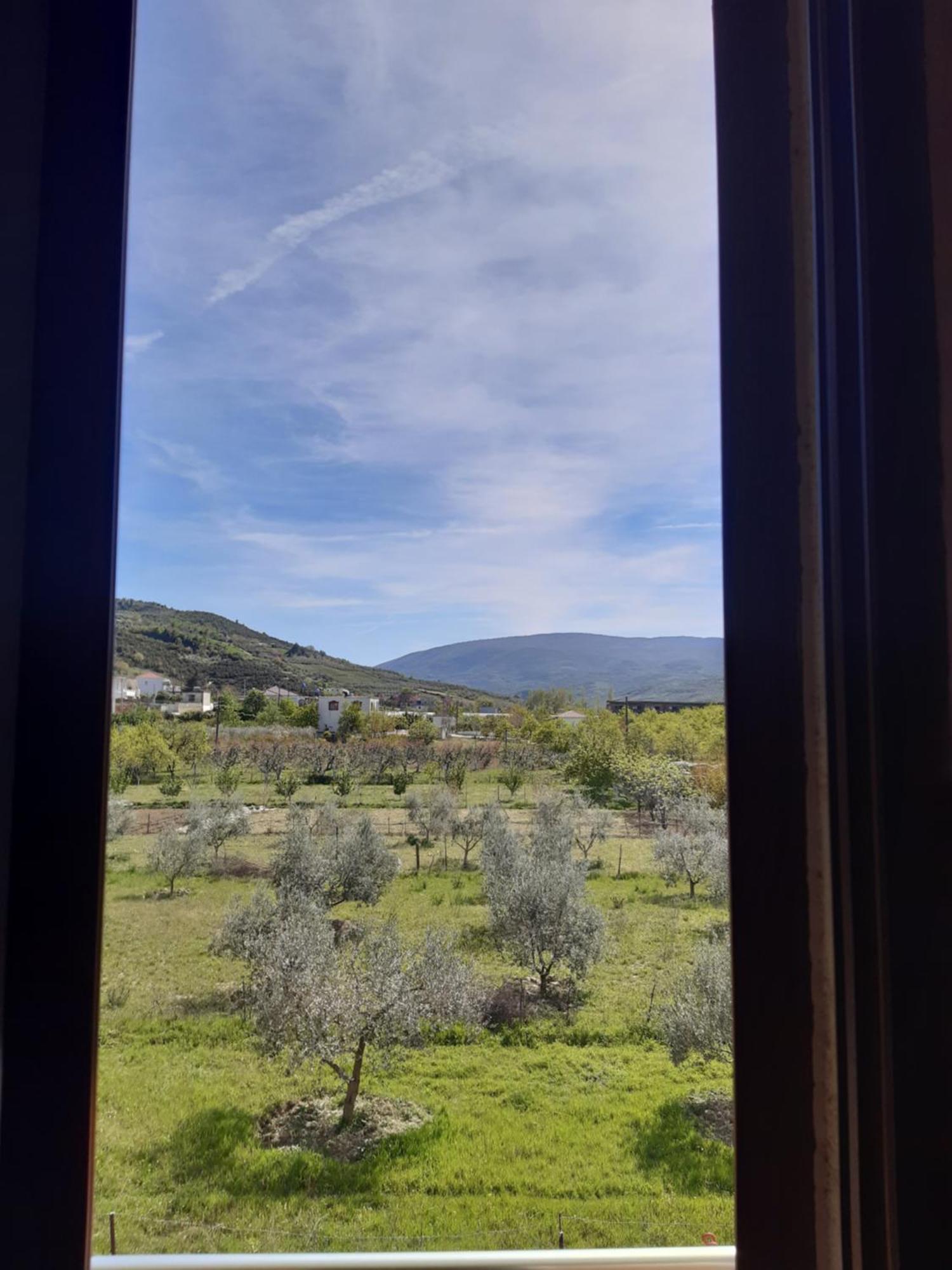 Villa Ari Berat Eksteriør billede