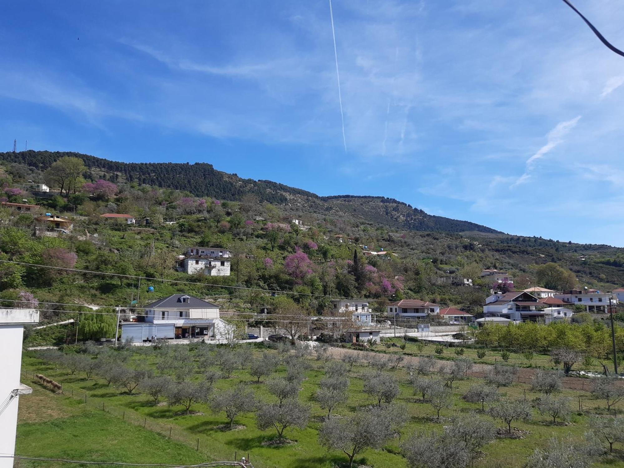 Villa Ari Berat Eksteriør billede