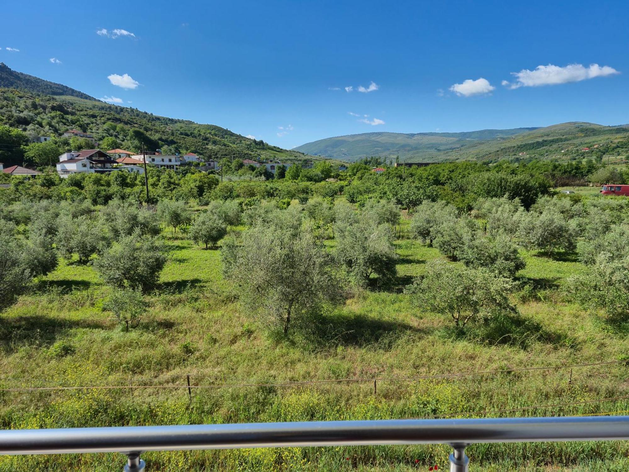 Villa Ari Berat Eksteriør billede